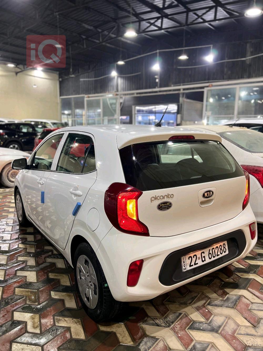 كيا بيكانتو